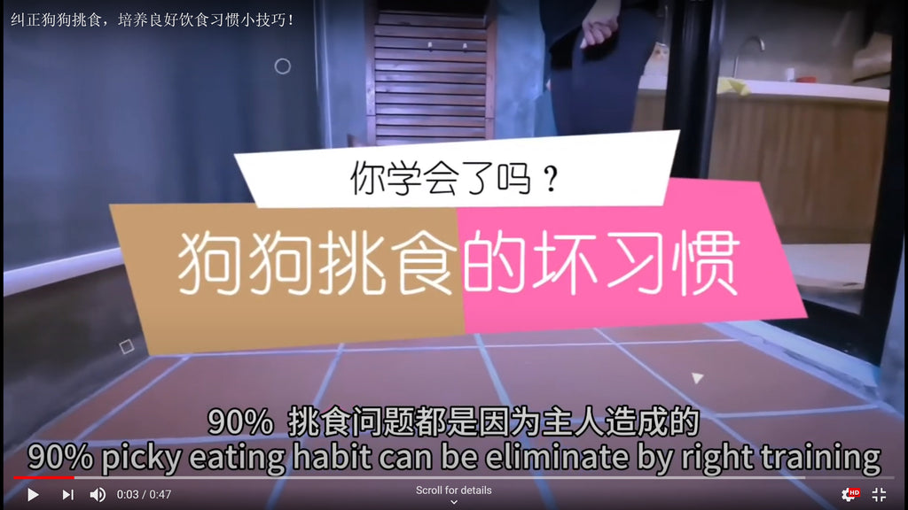 纠正狗狗挑食,培养良好饮食习惯小技巧!