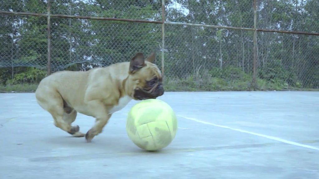 WHY CHOOSE ORDINARY? WHEN YOU CAN HAVE EXTRAORDINARY!