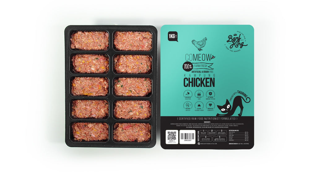 Kampung Chicken