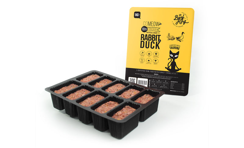 Rabbit & Duck