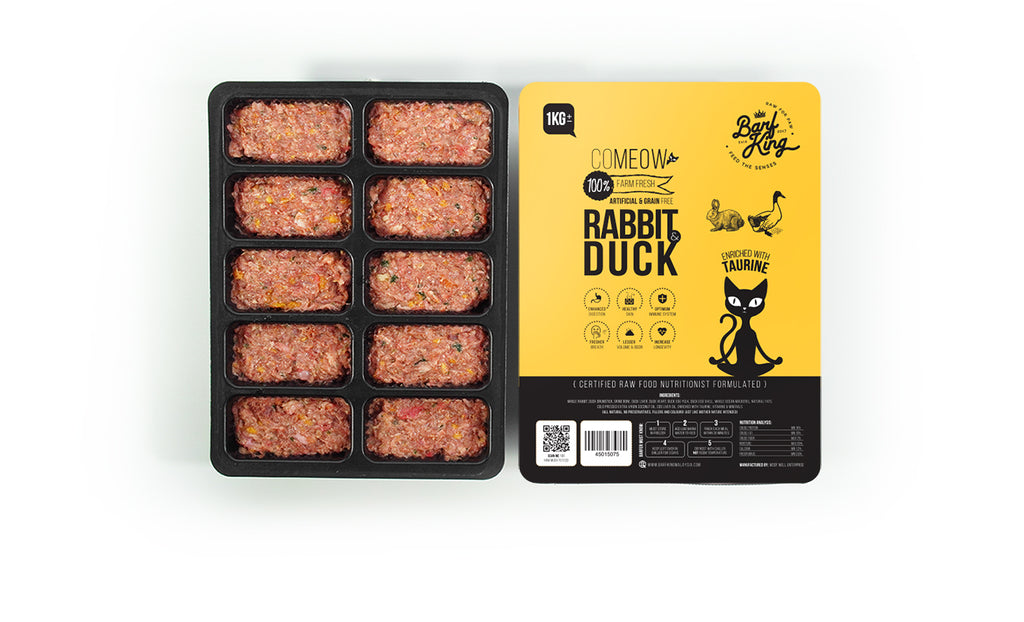 Rabbit & Duck