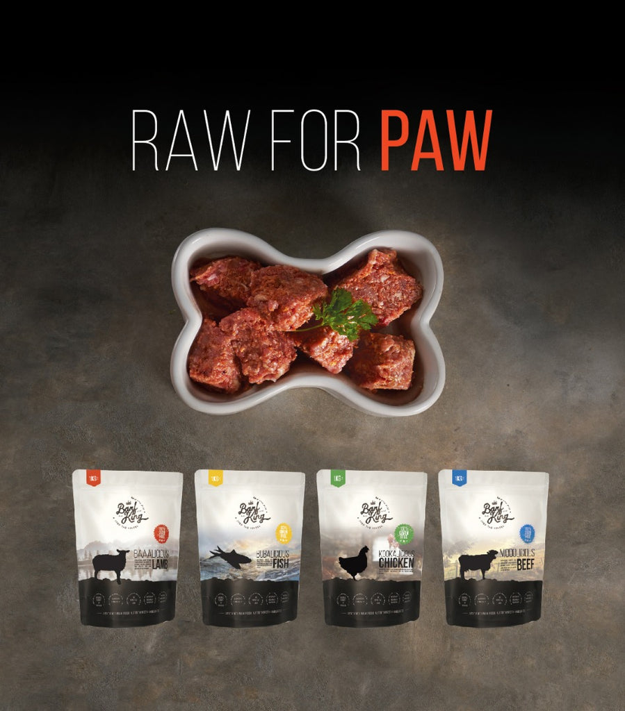 Raw For Paw