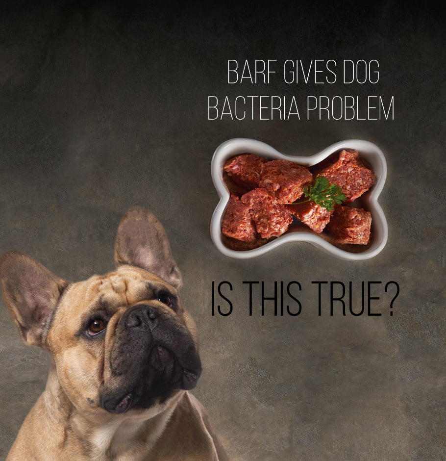 Do raw feeding contribute in bacteria that could harm our pets?