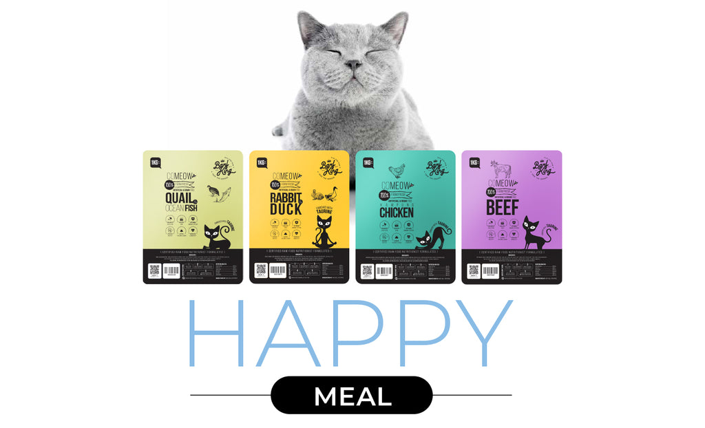 Kitty Happy Meal